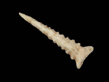 Incredible Hohokam Snaketown Side Notch, Gila County Arizona, Motley COA. Rare Hard to find point