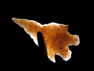 2 3/8" Highly Translucent Bucktooth Montell, Bell County Texas. Wafer thin. Indian Arrowhead,