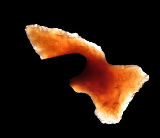 Amazing Knife River Flint Paskapoo Bird Point, Morton County North Dakota, Highly Translucent, well