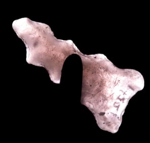 Rare Ceremonial Polished Stockton, Lake Co. California, Motley COA. Anciently Fully Polished to