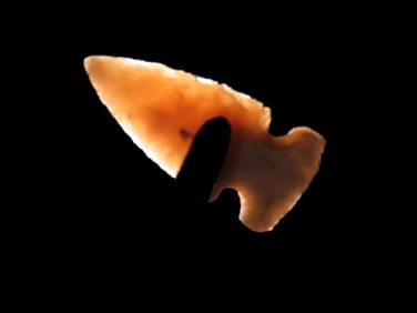Amazing Cahokia Side Notch Bird Point, Madison County Illinois, Super thin & Highly Translucent