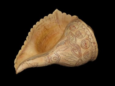 Phenomenal Pre-Columbian Engraved Shell Dipper, South America, Motley COA, Intricate Mayan Glyphs