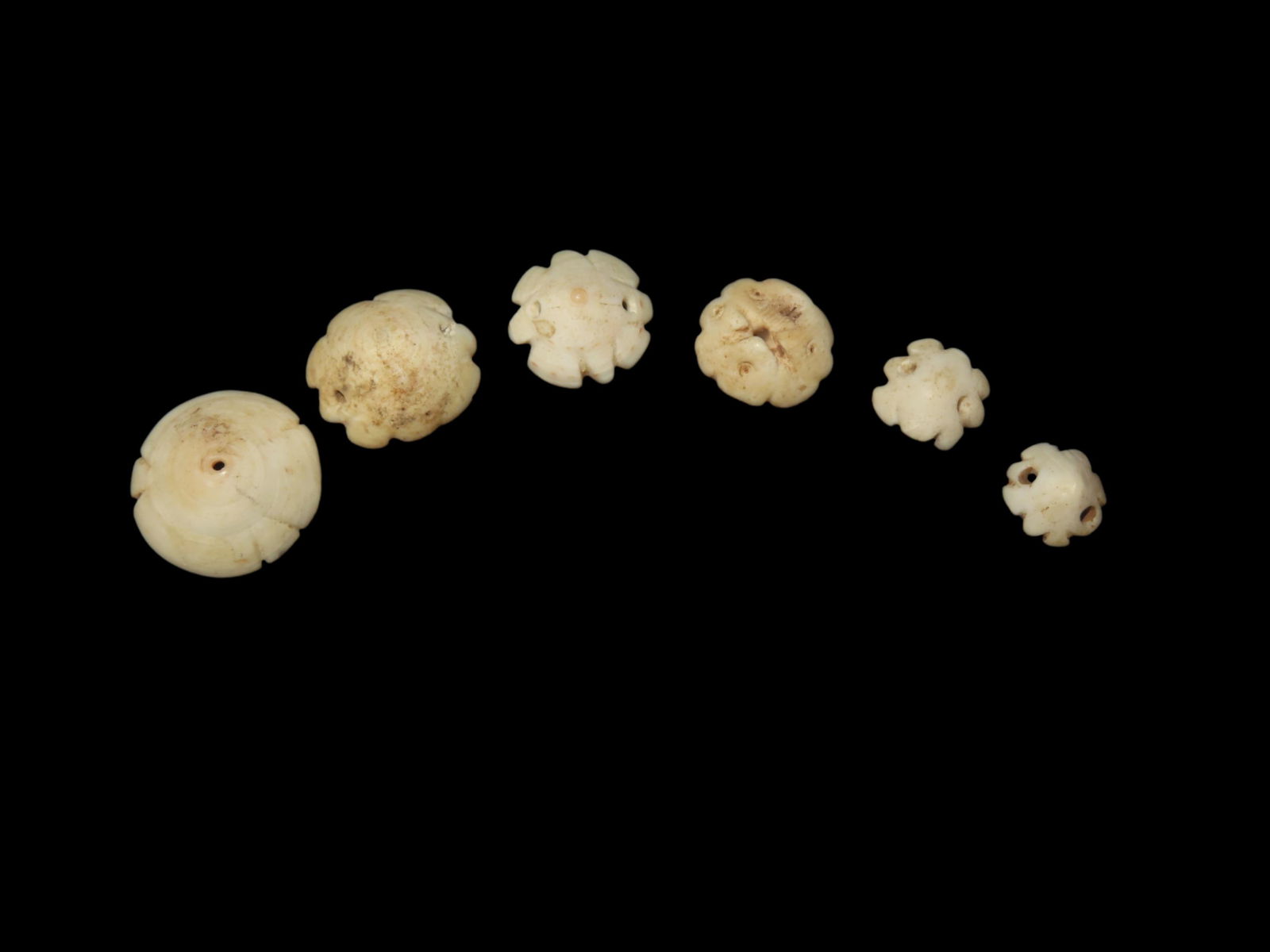 Nice Lot of Pre-Columbian Engraved Shell Beads / Pendants. Mexico, Very Detailed larger Examples (1 of 3)