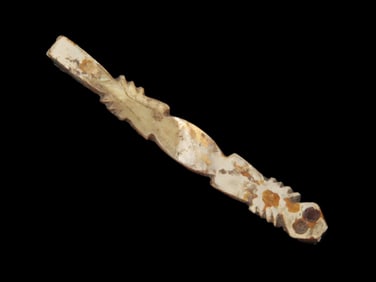 Incredible Pre-Columbian Lizard Effigy Pendant, Shell, Colima Culture, Mexico. Intricate Detailed