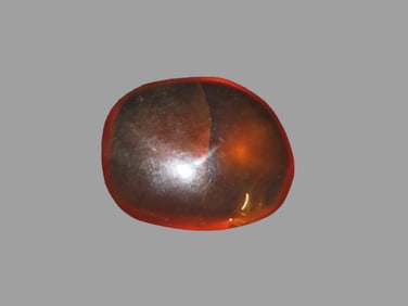 Fossil Amber with Encased Insect, Nice Large Specimen with Easily Visible Bug. 100 Million Years