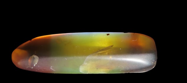 Fossil Amber with Encased Insect, Nice Large Specimen with Easily Visible Bug. Close Up Pics of the