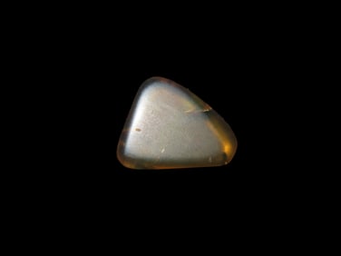Fossil Amber with Encased Insect, Nice Large Specimen with Easily Visible Bug. Close Up Pics of the