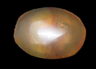 Fossil Amber with Encased Insect, Nice Large Specimen with Easily Visible Bug. Close Up Pics of the