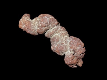 Large Dinosaur Poop Fossil, Coprolite, Appr. 100 Million Years old Fossilized Dino Dung, Great Well