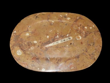 HUGE 13 5/8" x 9 5/8" Solid Orthoceras Fossil Plate / Platter Serving Tray. Original Handmade Piece