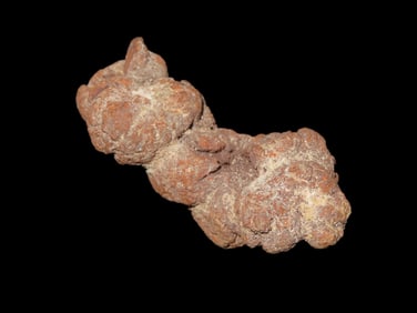 Large Dinosaur Poop Fossil, Coprolite, Appr. 100 Million Years old Fossilized Dino Dung, Great Well