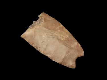 Amazing Heartbreaker Texas Paleo Barber / Clovis , HUGE Example, 3" Long & Missing 2-3" of the tip,