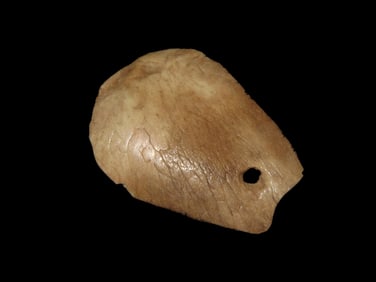Heavily Polished Bone Pendant / Gorget found in Southern Georgia, Nice Example