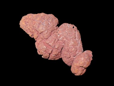 Large Dinosaur Poop Fossil, Coprolite, Appr. 100 Million Years old Fossilized Dino Dung, Great Well