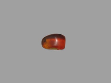 Fossil Amber with 3 Encased Insects, Nice Large Specimen with Easily Visible Bugs. Close Up Pics of