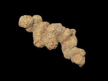 Large Dinosaur Poop Fossil, Coprolite, Appr. 100 Million Years old Fossilized Dino Dung, Great Well