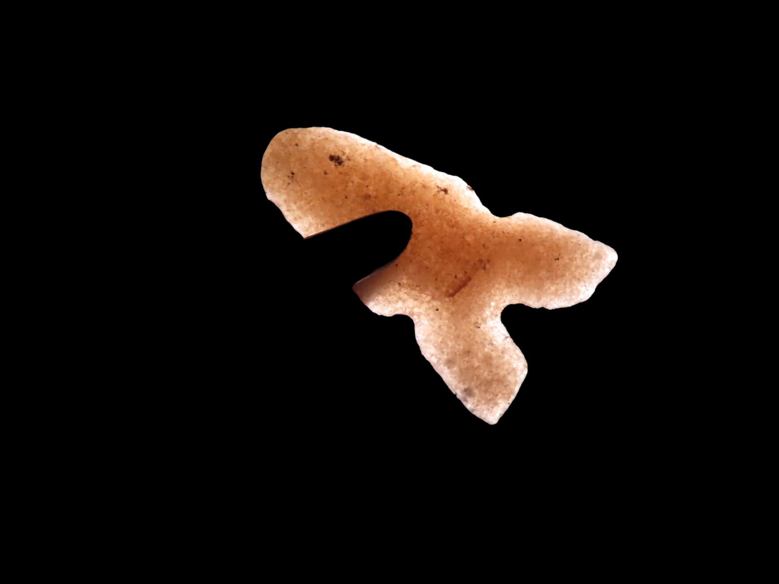 Nice Harrell Bird Point, Garza County Texas, Very Fine Example, Ex Dr. Ted Raurk, Ex. Tom Davis. (1 of 5)