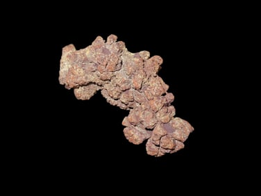 Large Dinosaur Poop Fossil, Coprolite, Appr. 100 Million Years old Fossilized Dino Dung, Great Well