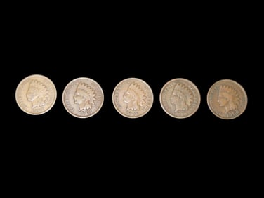 Lot of 5 All Different Date Indian Head Cents from 1800's & 1900's, Nice Original Condition United