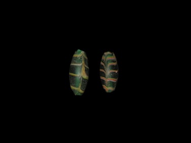 Nice Pair of Green Venetian Feather Beads, Colorful Early Glass Trade Beads