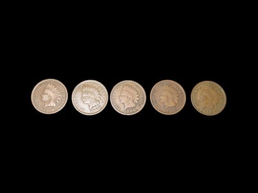 Lot of 5 All Different Date Indian Head Cents from 1800's & 1900's, Nice Original Condition United