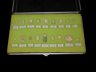 Amazing Framed Collection of Civil War Bullets, Confederate & US, Labeled & Identified. All Found in