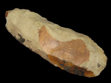 7 3/8" Huge Archaic Knife Blade, Central TN