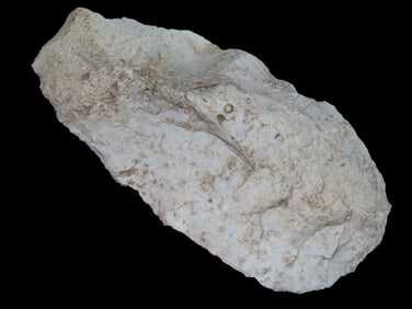 6 3/4" Flint Adz, Jersey Co., IL