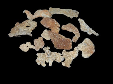 Lot of Civil War Lead Fragments, Found by Boyd Cole in Wayne Co Tennessee while Metal Detecting