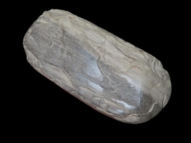 3 1/2" Fossilized Petrified Wood Celt/Adz, Rare, TN, Nicely Polished