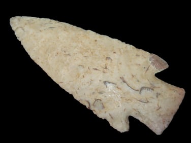 4 1/16" Hardin Restored Ear, Missouri Ex Walt McIntire Collection