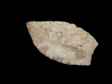 2 11/16" Paleo Browns Valley, Motley COA, Van Buren Co., IA