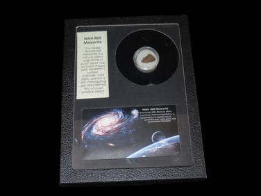 6" x 8" Case containing NWA 869 Meteorite Specimen, found in Morocco in 2001