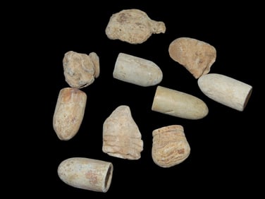 Lot of Civil War Bullets Fired and Unfired, Found by Boyd Cole in Wayne Co Tennessee while Metal Det