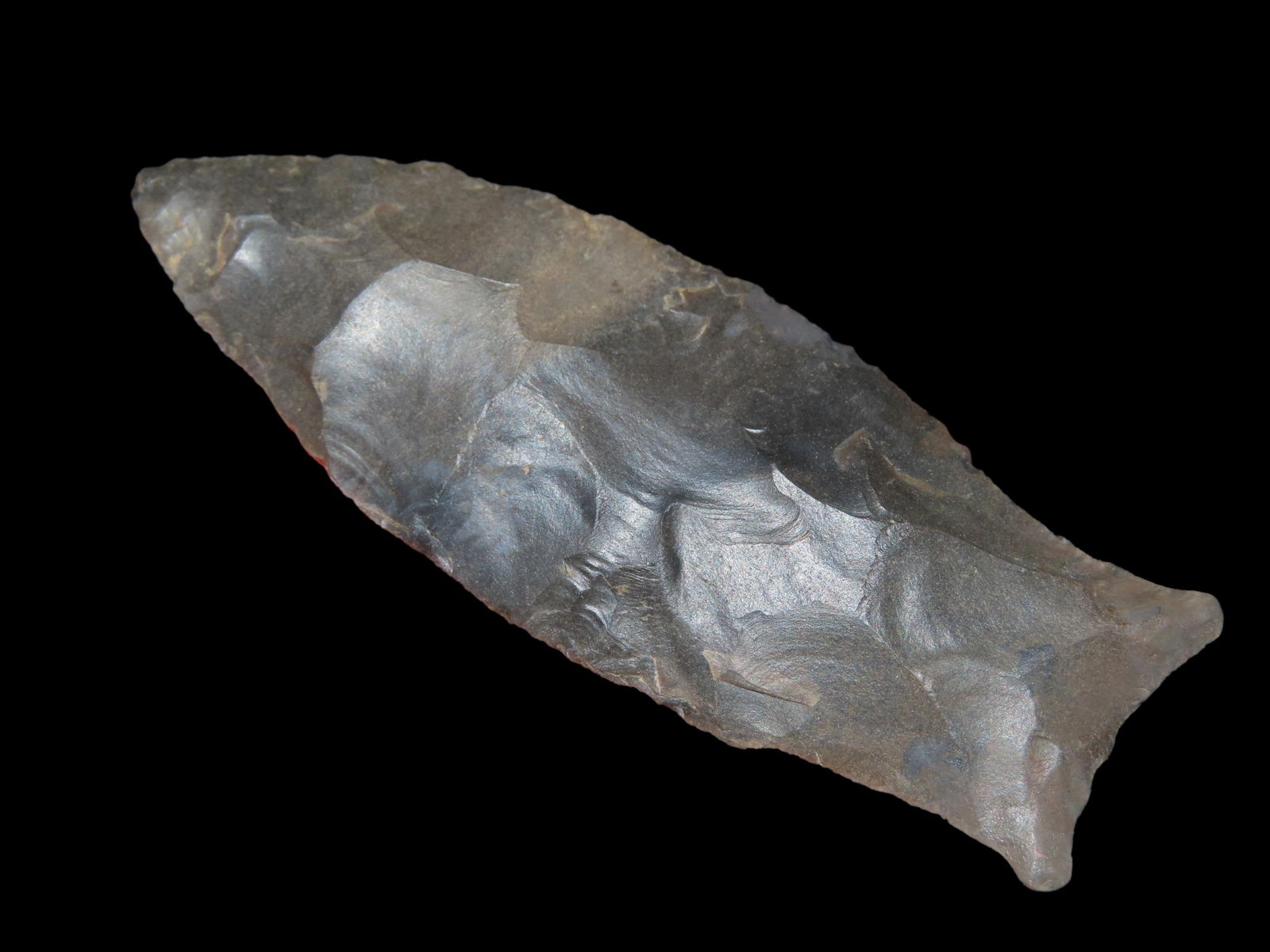 2 11/16" Beaver Tail Pt. Restored, EX Walt McIntire: 2 11/16" Beaver Tail Pt. Restored, EX Walt McIntire