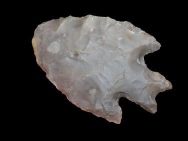 3 5/8" Pedernales, Motley COA, Bell Co., TX