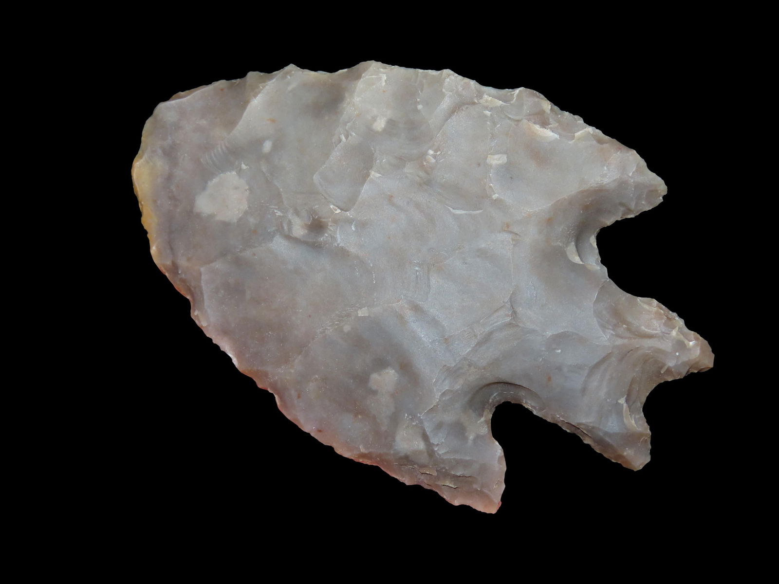 3 5/8" Pedernales, Motley COA, Bell Co., TX (1 of 7)