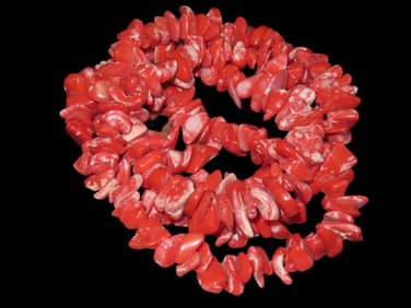 14" Strand of Coral Fossilized