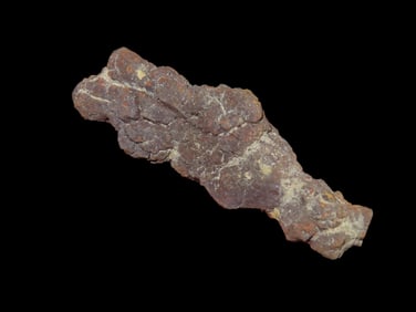 3 3/16" Coprolite Fossilized 100 Million Years Old, Madagascar