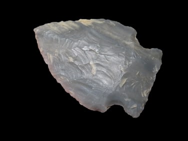 1 3/4" Woodland Pt., EX Walt McIntire, KY