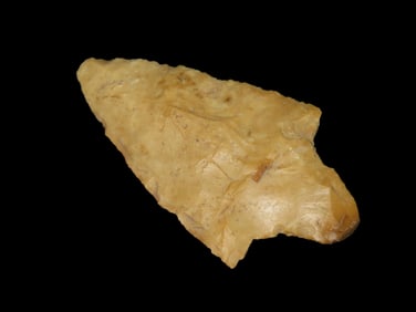 3 1/16" Waubesa Pt., Motley COA, Greene Co., MO