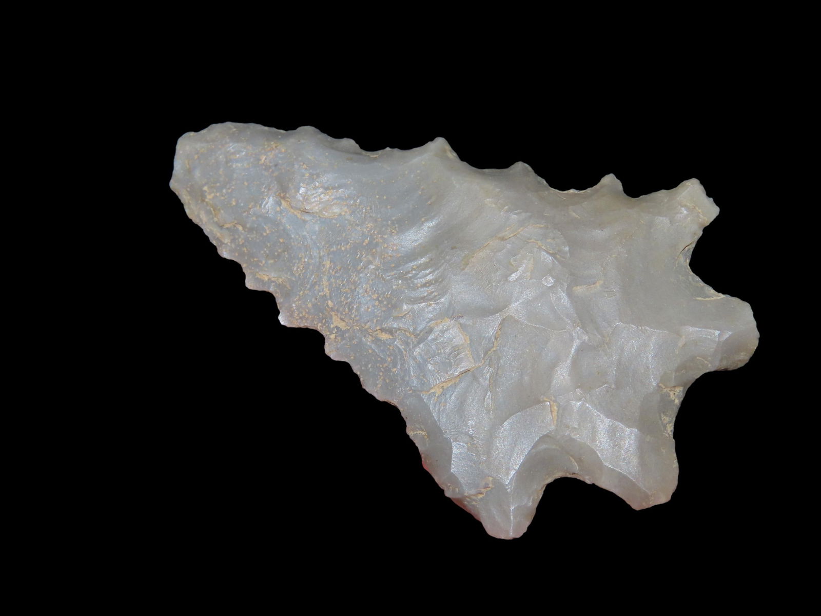 2" Kirk Serrated Bifurcated Pt., EX Walt McIntire, KY (1 of 6)