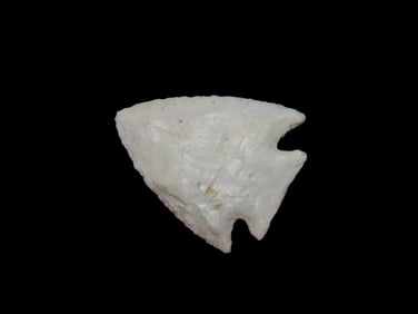 1 3/8" Pelican Lake Pt., Motley COA, Sullivan Co., MO