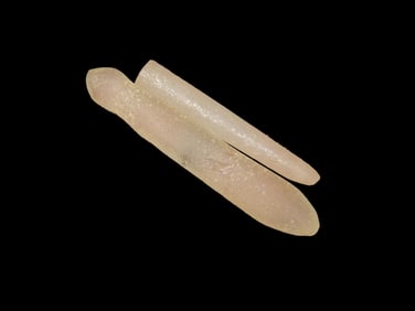 1 5/8" Neolithic NW Sahara Crystal Quartz Ear/Nose Plug, 3500 Years Old