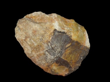 3 3/4" Flint Adz Creek Stained, Jersey Co., IL