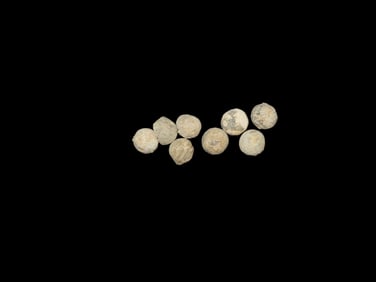 Lot of 10 Civil War Bullets, Found by Boyd Cole in Wayne Co Tennessee while Metal Detecting