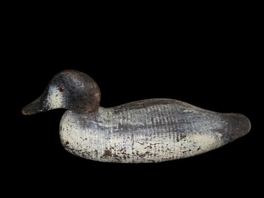 16" Golden Eye Duck Decoy