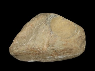 7 1/2" Mortar from Adams Co., IL