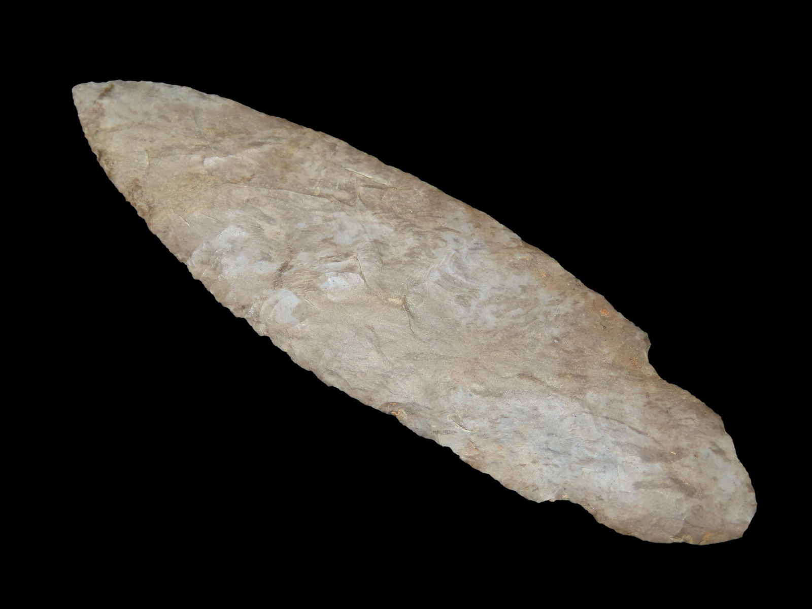 4 1/2'' Turkey Tail, Keele COA,Found In Kentucky,Ex Walt Mclntire (1 of 9)