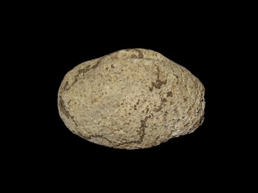 2 3/8'' Loafstone, Bennetts COA,Found In Ohio,Ex Dana Staley